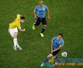 巴西世界杯视频,激情燃烧的绿茵战场