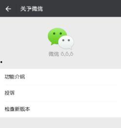 手机视频聊天,跨越时空的亲密互动