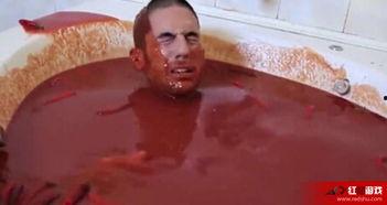 酸爽视频,带你领略酸爽刺激的视觉盛宴