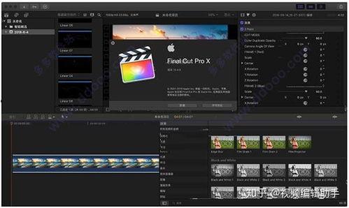 如何做视频剪辑,从零开始打造专业级作品