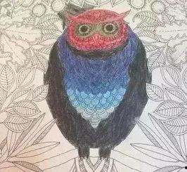 秘密花园视频,揭秘视频中的奇幻世界